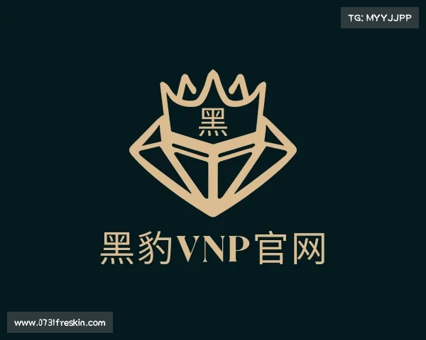 发现黑豹vnp官网